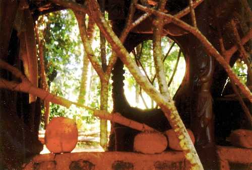 devi in lehmhtte neben tr